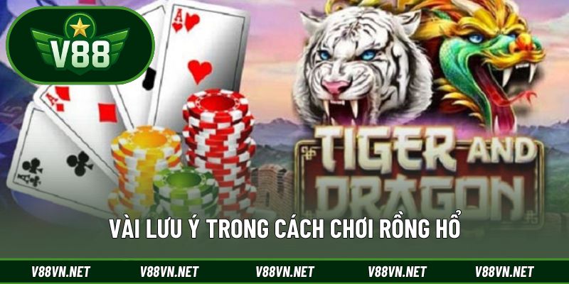 Vài điểm lưu ý trong cách chơi Rồng Hổ
