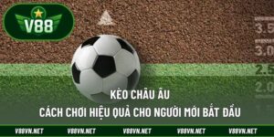 Kèo Châu Âu – Cách Chơi Hiệu Quả Cho Người Mới Bắt Đầu