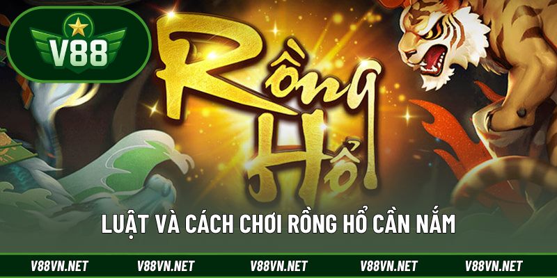 Khám phá cách chơi Rồng Hổ cụ thể